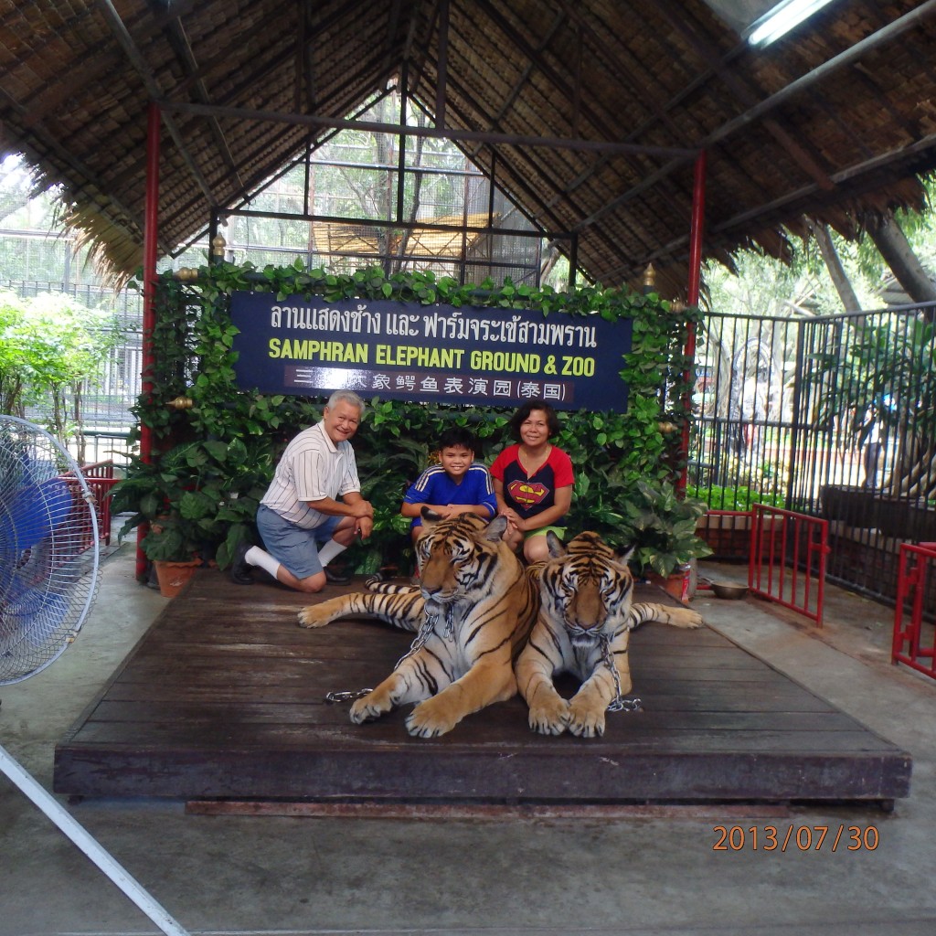 Roy, RJ and I pose with the tigers. 