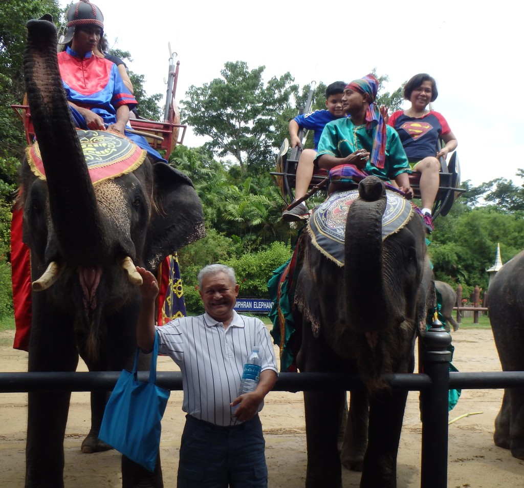 Laughter and frisson with our four-legged friends. Omg! Only in Thailand!!!